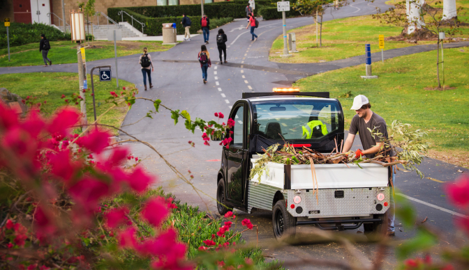 A man loading the bed of an electric vehicle with branches and leaves in the park