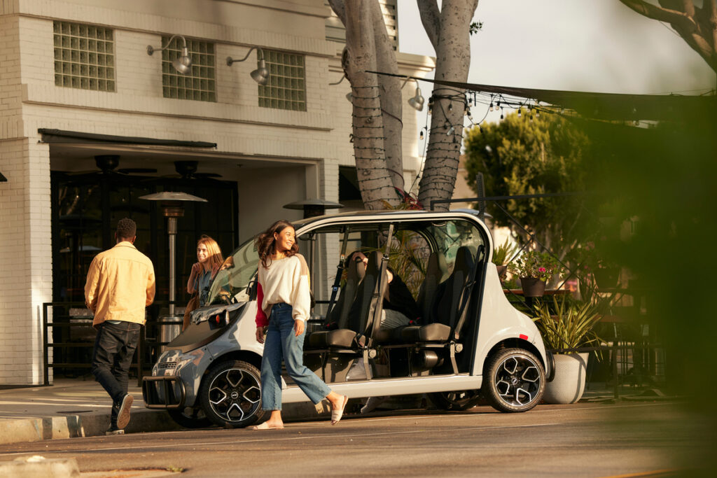 street legal electric cart not a golf cart